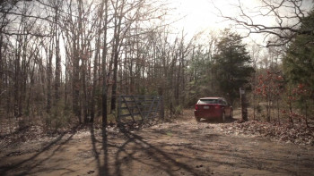 The Hoot Owl (2022) download