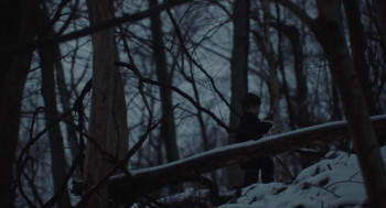 The Human Hibernation (2024) download