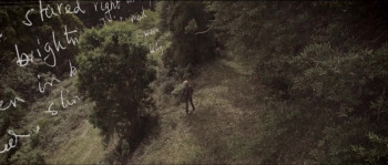 The Hunt: In Search of Australia's Big Cats (2020) download