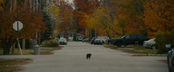 The Kid Detective (2020) download