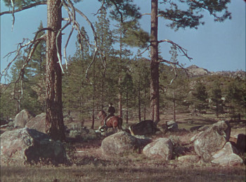 The Kid from Texas (1950) download