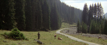 The Lady Vanishes (1979) download