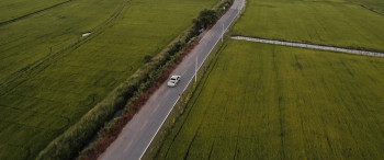 The Lake (2022) download