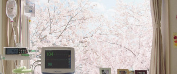 The Last 10 Years (2022) download