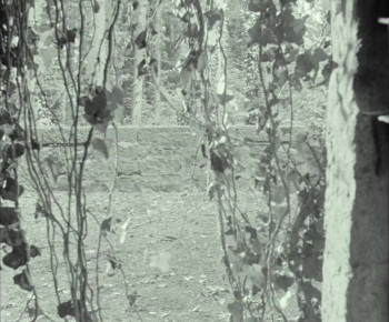 The Last Ashes (2023) download