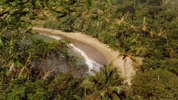 The Last Island (1990) download