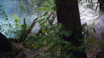 The Last Leprechaun (1998) download