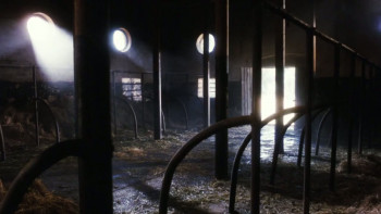 The Last Leprechaun (1998) download