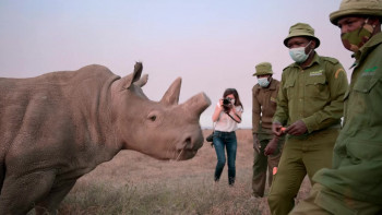 The Last Rhinos: A New Hope (2025) download