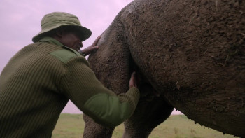 The Last Rhinos: A New Hope (2025) download