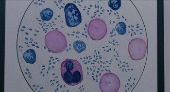 The Laughing Woman (1969) download