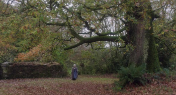 The Light Within (2024) download