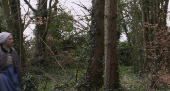 The Light Within (2024) download