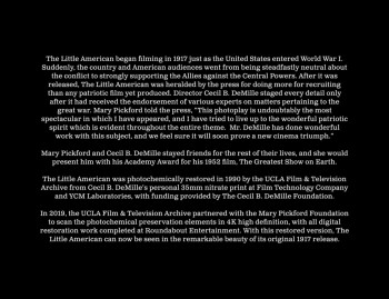 The Little American (1917) download