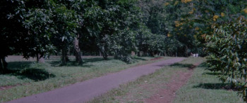 The Longer, the Better (1987) download