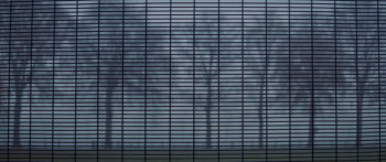 The Lost Boys (2023) download