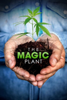 The Magic Plant (2020) download