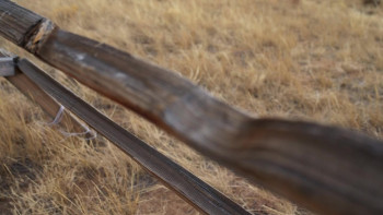 The Matthew Shepard Story: An American Hate Crime (2023) download