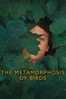 The Metamorphosis of Birds (2020) download
