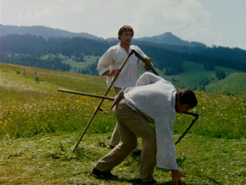 The Millennial Bee (1983) download