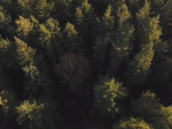 The Mitchin Murders (2024) download