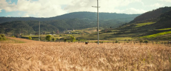 The Monk and the Gun (2023) download