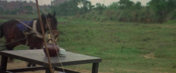 The New Shaolin Boxers (1976) download