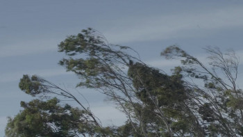 The Next Skin (2016) download