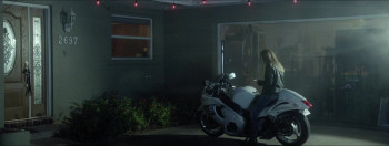 The Notorious Finster (2024) download