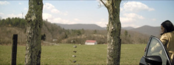 The Notorious Finster (2024) download