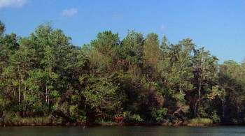 The Novice (2006) download