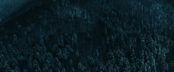 The Occupant (2025) download