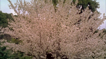 The Oregonian (2011) download