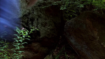 The Other Side of the Tracks (2008) download