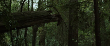 The Out-Laws (2023) download