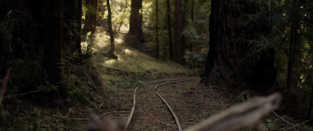 The Out-Laws (2023) download