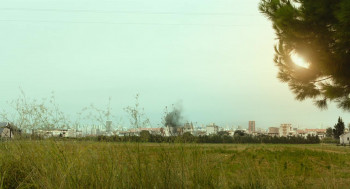 The Penguin Lessons (2024) download