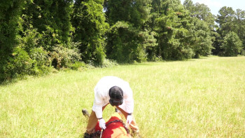 The People in the Shadows (2022) download