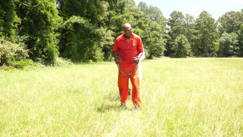 The People in the Shadows (2022) download