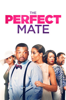 The Perfect Mate (2020) download