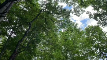 The Pickleball Exorcist (2025) download