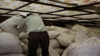 The Price of Free (2018) download