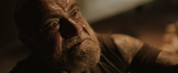 The Protos Experiment (2025) download