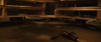 The Protos Experiment (2025) download