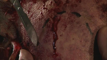 The Rage (2007) download