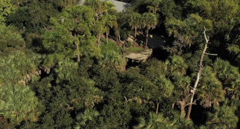 The Red Tide Massacre (2022) download