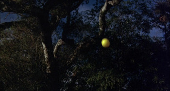 The Return of Count Yorga (1971) download