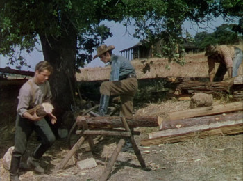 The Return of Frank James (1940) download