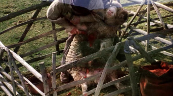 The Return of the Native (1994) download