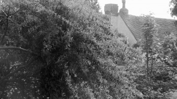 The Ritchie Blackmore Story (2015) download